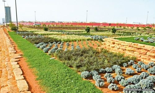 إنجازات وطنية تحققها مبادرات التحول الوطني لعام 2022 نحو مدن خضراء صديقة للبيئة