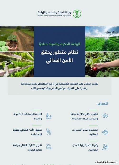 «البيئة»: الاستثمارات في الزراعة الذكية ترفع الإنتاج والإنتاجية وتحقق الأمن الغذائي