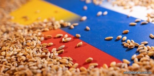 صندوق النقد: توقف اتفاق البحر الأسود قد يرفع أسعار الحبوب 10-15٪