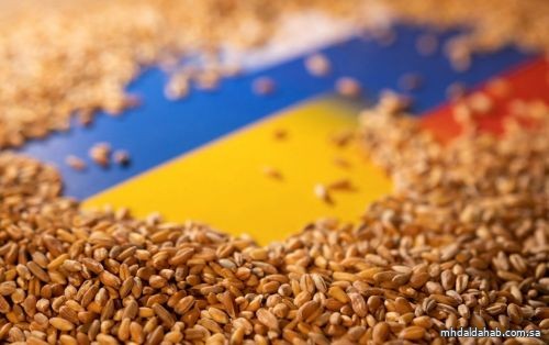 أوكرانيا تعارض تخفيف العقوبات على روسيا مقابل إحياء اتفاق الحبوب