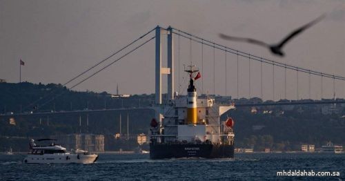 وصول ثاني سفينة قمح أوكراني إلى اسطنبول