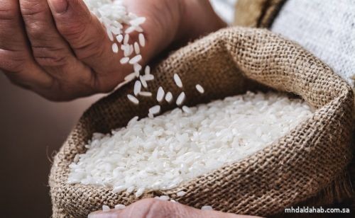 (فاو): أسعار الأرزّ العالمية في أعلى مستوياتها منذ 13 عامًا