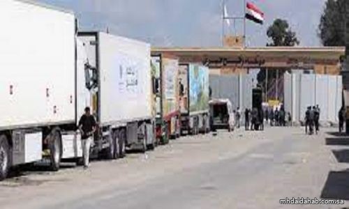 دخول أول قافلة مساعدات إلى غزة عبر مصر
