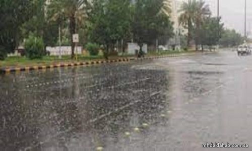 "الأرصاد": أمطار متوسطة وانعدام في الرؤية وصواعق رعدية على المدينة المنورة