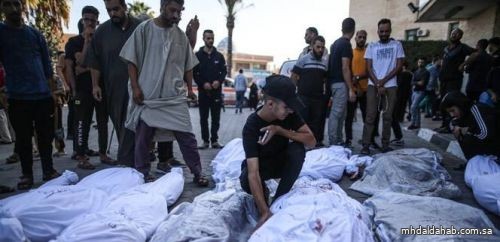 ارتفاع حصيلة عدوان الاحتلال الإسرائيلي على قطاع غزة إلى 9061 شهيد