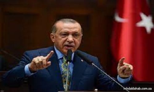 أردوغان: مجلس الأمن بحاجة إلى إصلاح