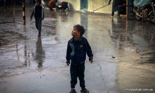 «الأونروا»: سكان غزة لم يعد لديهم وقت أو خيارات