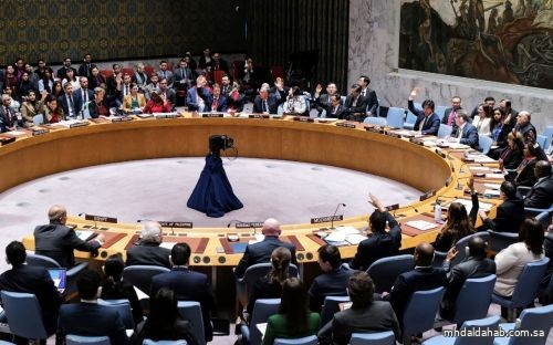 سفير فلسطين في الأمم المتحدة: قرار مجلس الأمن "خطوة في الاتجاه الصحيح"