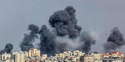 ارتفاع عدد شهداء العدوان الإسرائيلي المستمر على قطاع غزة إلى 22313 شهيدًا