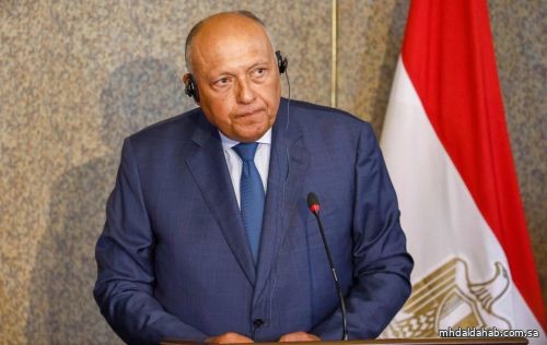 وزير خارجية مصر يحذر من مغبة استمرار الأزمة في قطاع غزة واتساع دائرة الصراع
