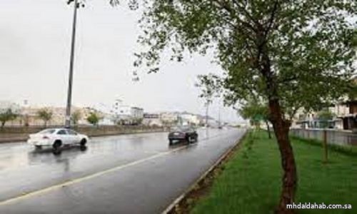 "الأرصاد" : أمطار خفيفة على منطقة المدينة المنورة