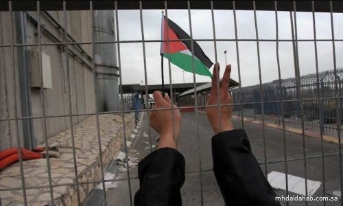 شؤون الأسرى الفلسطينية توثق اعتقال قوات الاحتلال 7340 فلسطينيًّا في الضفة الغربية