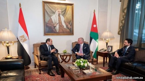 الملك الأردني والرئيس المصري يؤكدان ضرورة التوصل لهدنة إنسانية ووقف شامل لإطلاق النار في غزة