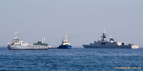 وصول ثلاث سفن محملة بالمساعدات إلى غزة
