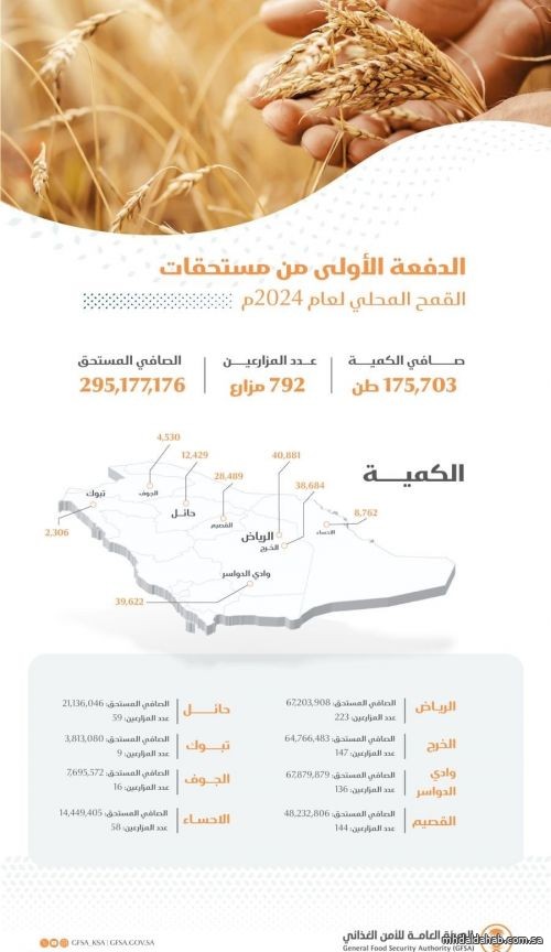 الأمن الغذائي" صرف 295 مليون ريال مستحقات الدفعة الأولى لمزارعي القمح المحلي