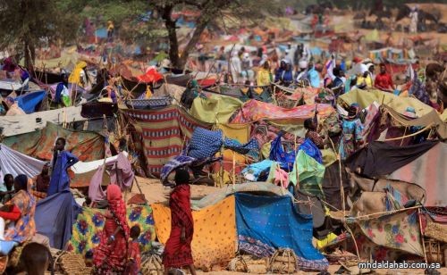 بعثة تقصي الحقائق بالسودان تدعو لتقديم المزيد من الدعم للاجئين السودانيين في تشاد
