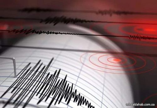 زلزال بقوة 4.6 درجات يضرب بلدة في جنوب إيران
