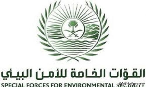 "الأمن البيئي" تضبط مواطناً رعى 35 متن إبل بمحمية الملك عبدالعزيز الملكية
