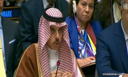 وزير الخارجية: على دول G20 التصدي لانتهاكات إسرائيل الجسيمة في غزة