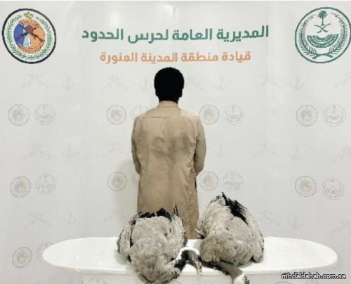 القبض على مخالف لنظام البيئة لارتكابه مخالفة الصيد في أماكن محظور الصيد فيها بمحافظة ينبع