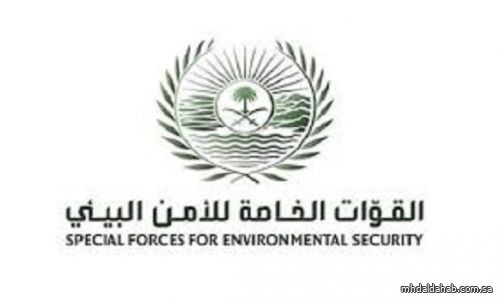 ضبط مواطن مخالف لنظام البيئة خيم في محمية الملك عبدالعزيز الملكية