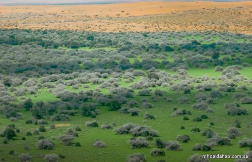 محمية الملك عبد العزيز الملكية تنضم للقائمة الخضراء الدولية