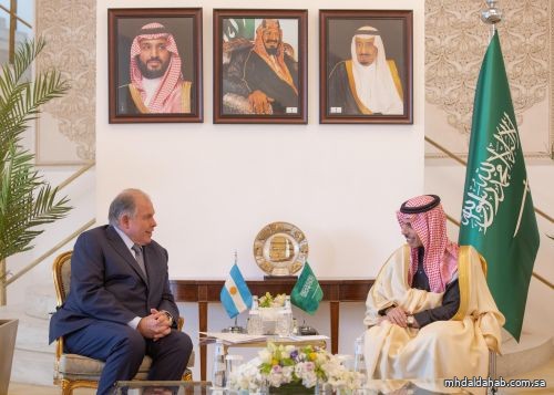 وزير الخارجية يستقبل وزير الخارجية الأرجنتيني