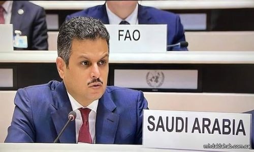 المملكة تدين الانتهاكات الإسرائيلية وتدعو المجتمع الدولي لتحمل مسؤولياته