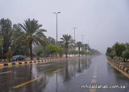 حالة الطقس المتوقعة اليوم حالة الطقس المتوقعة اليوم