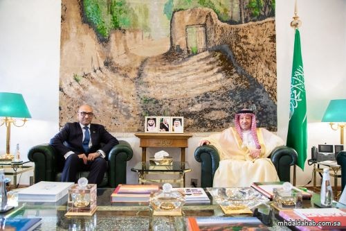 نائب وزير الخارجية يستقبل سفير جمهورية باكستان لدى المملكة نائب وزير الخارجية يستقبل سفير جمهورية باكستان لدى المملكة