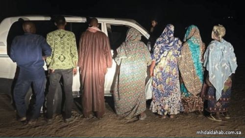 ضبط شخصين لنقلهما في مركبة 7 وافدين لا يحملون تصريحًا بالحج ضبط شخصين لنقلهما في مركبة 7 وافدين لا يحملون تصريحًا بالحج