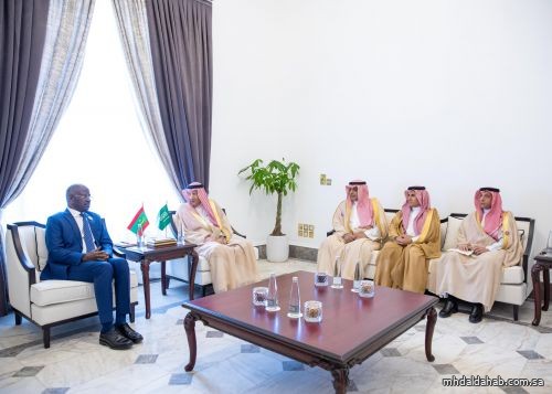نائب وزير الخارجية يلتقي وزير خارجية موريتانيا