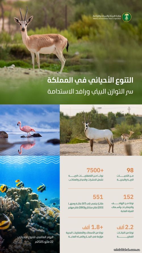 المملكة تشارك العالم الاحتفال باليوم الدولي للتنوع البيولوجي لتعزيز استدامة النظم البيئية المملكة تشارك العالم الاحتفال باليوم الدولي للتنوع البيولوجي لتعزيز استدامة النظم البيئية