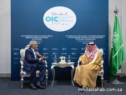 وزير الخارجية يلتقي نظيريه المصري والباكستاني في إسطنبول