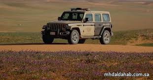 ضبط مواطن رعى 80 متنًا من الإبل في مواقع محظورة بمحمية الملك عبدالعزيز الملكية