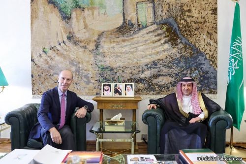 نائب وزير الخارجية يستقبل سفير إسبانيا