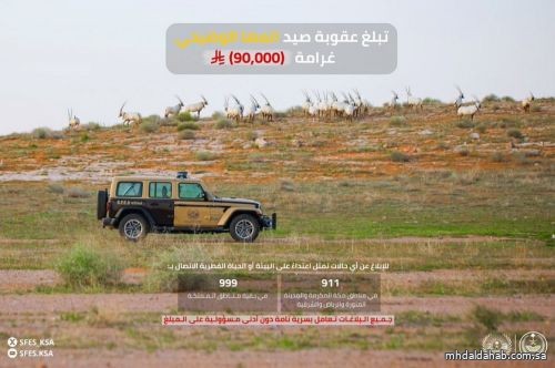 الأمن البيئي: غرامة 90,000 ريال لصيد المها الوضيحي الأمن البيئي: غرامة 90,000 ريال لصيد المها الوضيحي