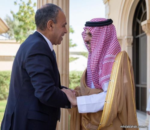 وزير الخارجية يستقبل وزير خارجية مصر