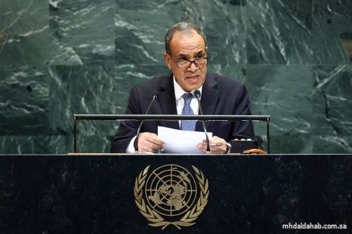 وزير الخارجية المصري: مصر لن تكون أبداً بوابة لتهجير الشعب الفلسطيني
