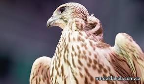 معرض الصقور والصيد السعودي 2025 يستقطب اهتمامًا عالميًا بمشاركة 1300 عارض من 45 دولة