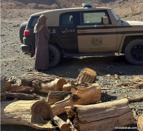 ضبط مواطنٍ لتخزينه حطبًا محليًا في منطقة المدينة المنورة