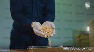 "زاتكا" تُحبط تهريب 48 ألف حبة كبتاجون في منفذ الحديثة وتطيح بـ 4 متورطين "زاتكا" تُحبط تهريب 48 ألف حبة كبتاجون في منفذ الحديثة وتطيح بـ 4 متورطين