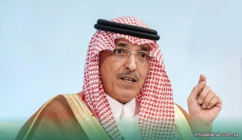 وزير المالية: الاقتصاد العالمي واجه بعض التحديات هذا العام