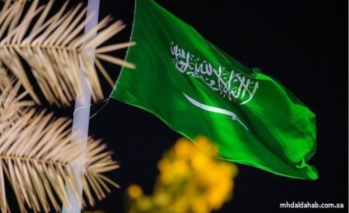 «نزاهة» تباشر عددًا من القضايا الجنائية