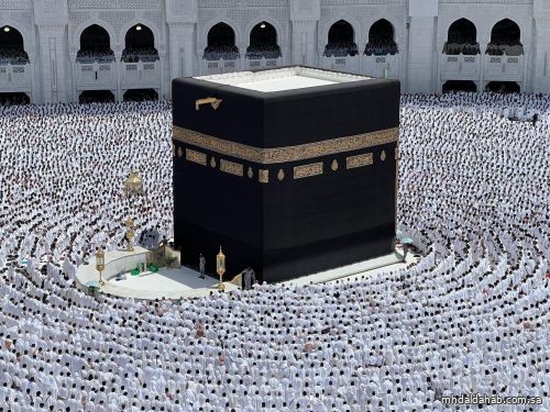 أكثر من 11.7 مليون عمرة خلال ربيع الآخر أكثر من 11.7 مليون عمرة خلال ربيع الآخر