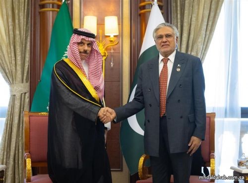 وزير الخارجية يلتقي وزير خارجية باكستان وزير الخارجية يلتقي وزير خارجية باكستان