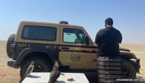 «الأمن البيئي» يقبض على مواطن لارتكابه مخالفة الصيد دون ترخيص في ينبع