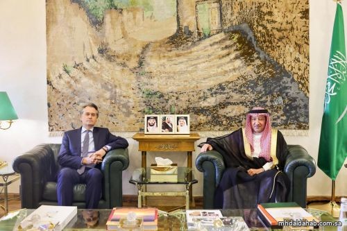 نائب وزير الخارجية يستقبل المبعوث الخاص لوزارة خارجية ألمانيا لشؤون القرن الأفريقي