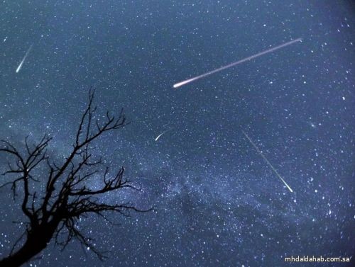 سماء المملكة تشهد ذروة زخة شهب «الثوريات» سماء المملكة تشهد ذروة زخة شهب «الثوريات»