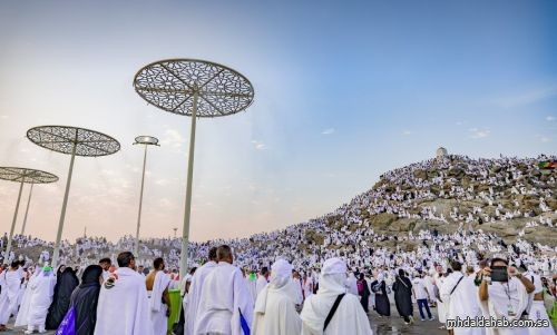 فتح باب التأهيل لمتعهدي الإعاشة في المشاعر المقدسة فتح باب التأهيل لمتعهدي الإعاشة في المشاعر المقدسة